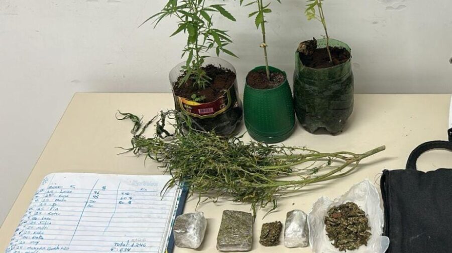 Com decisão do STF, usuários de maconha passam a não responder criminalmente pelo ato ilícito. Foto: PMPR