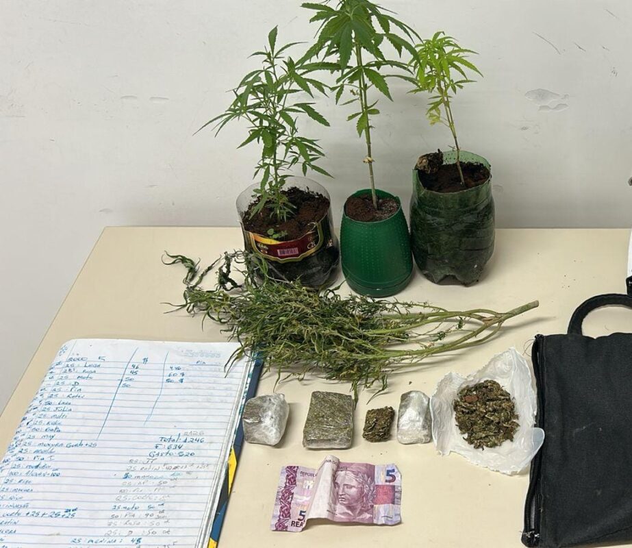 Com decisão do STF, usuários de maconha passam a não responder criminalmente pelo ato ilícito. Foto: PMPR