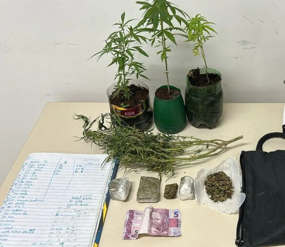Com decisão do STF, usuários de maconha passam a não responder criminalmente pelo ato ilícito. Foto: PMPR
