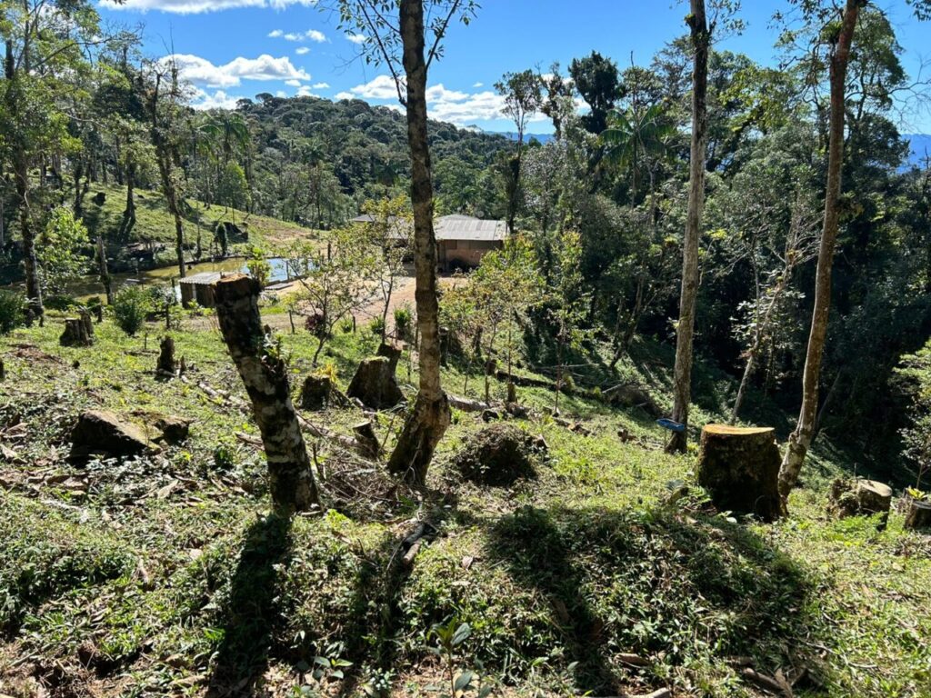 Força Verde – Potreiro Guaratuba 1