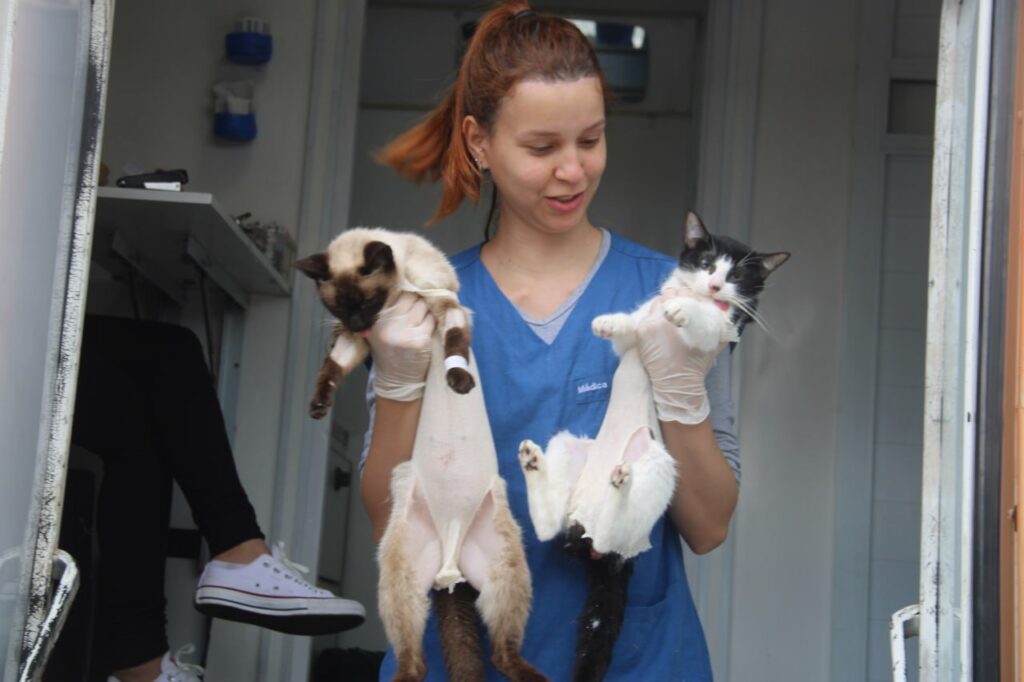 A prioridade no atendimento será dada a pessoas em situação de fragilidade social e animais resgatados da rua. Foto: Prefeitura de Pontal do Paraná