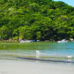 Ilha do Mel – Rafael – JB Litoral