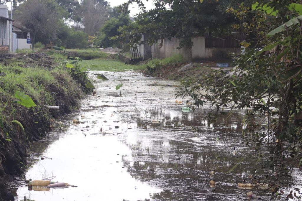 Limpeza de canal Praia de leste (3)