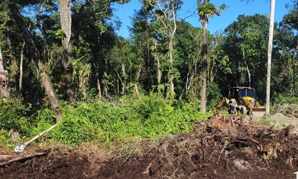 Polícia Ambiental Ação em Matinhos 10