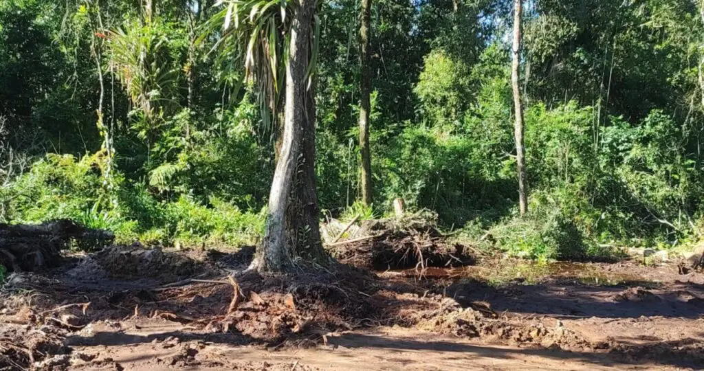 Polícia Ambiental Ação em Matinhos 7