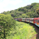 Trem-da-Serra-do-Mar-Paranaense-3