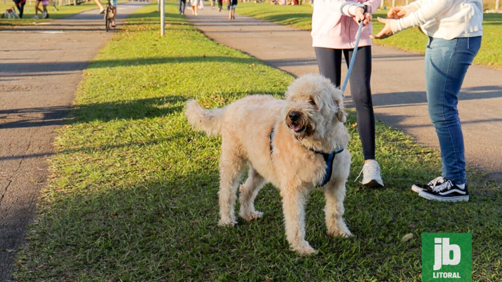 aeroparque – cachorros – pets – praça da biblia – Fotos Juan Lima – JB Litoral (18)