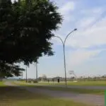 aeroparque – cachorros – pets – praça da biblia – Fotos Juan Lima – JB Litoral (29)