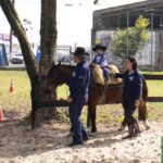 equoterapia Paranagua – Foto Juan Lima – JB Litoral (15)