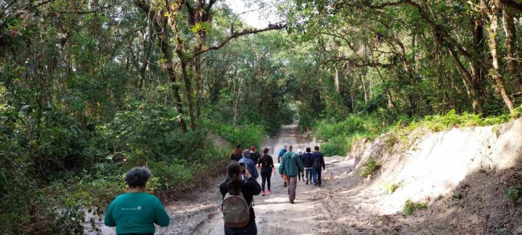 A região também tem como atrativo o turismo rural, com eventos como a caminhada Circuito Colônia Pereira, que acontece todos os anos. Foto: Prefeitura de Pontal do Paraná