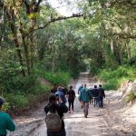 A região também tem como atrativo o turismo rural, com eventos como a caminhada Circuito Colônia Pereira, que acontece todos os anos. Foto: Prefeitura de Pontal do Paraná