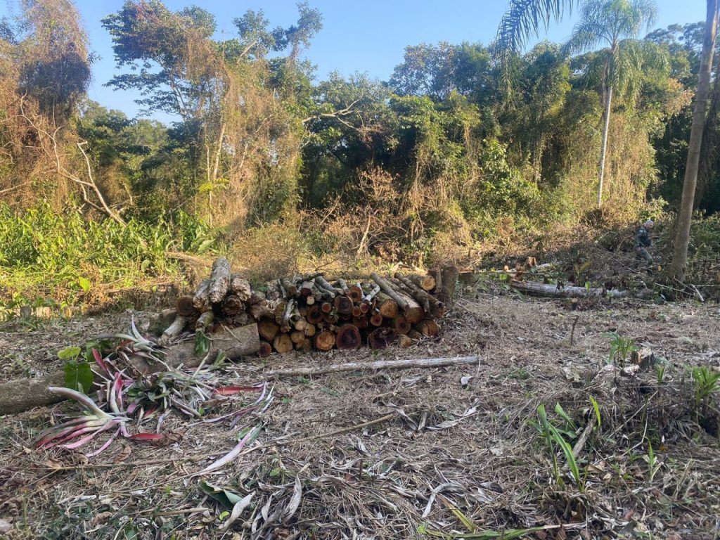 Fiscalização Morro Grande Guaratuba 10