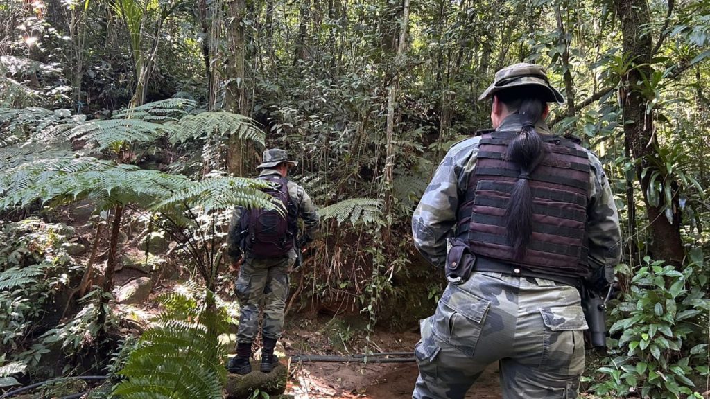 Força Verde Ação Guaratuba