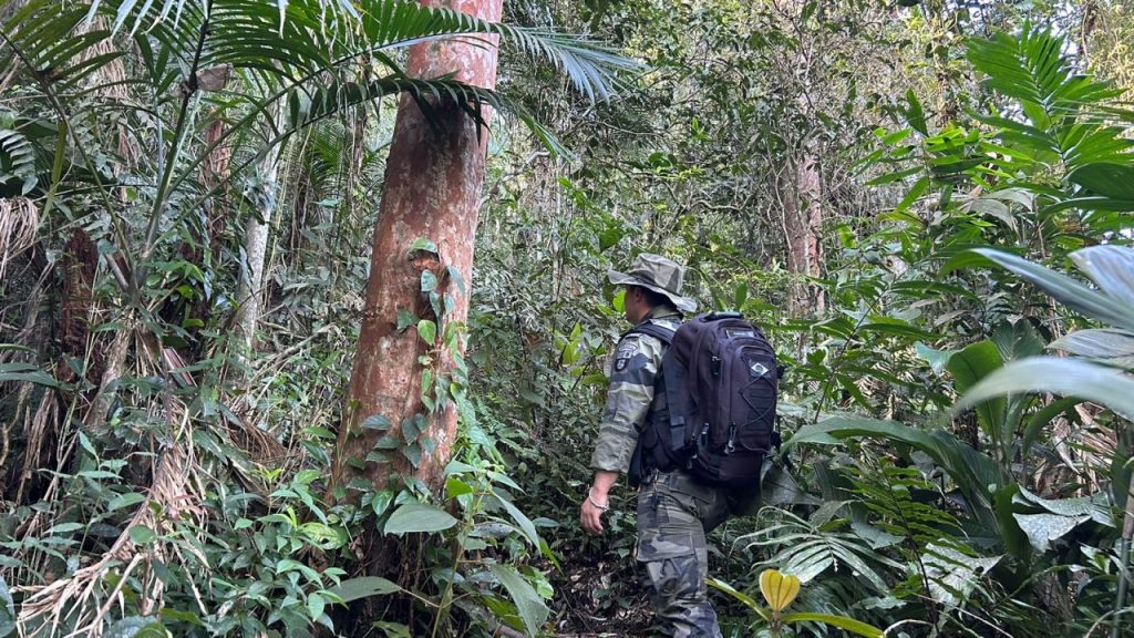 Força Verde Ação Guaratuba 2