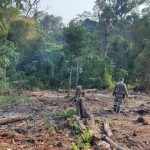 Força Verde Ação Guaratuba 23