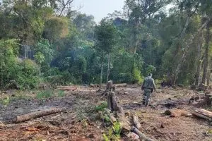 Força Verde Ação Guaratuba 23