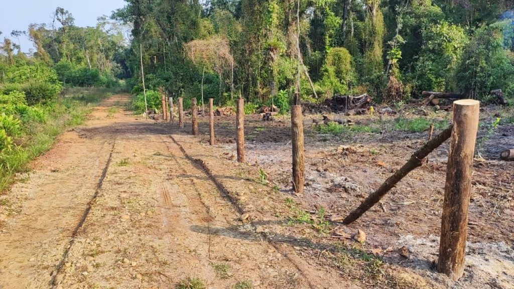 Força Verde Ação Guaratuba 26