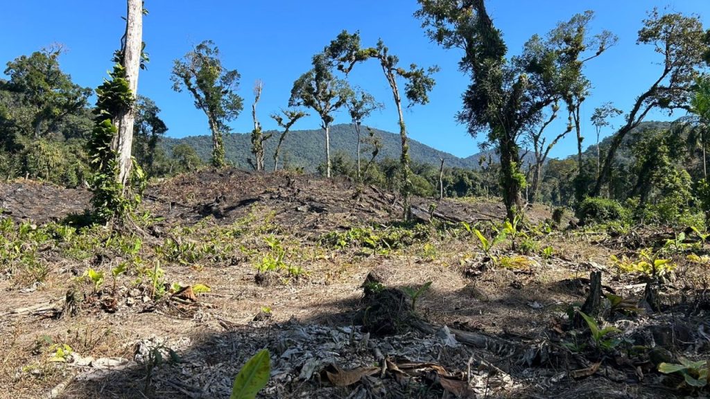 Polícia Ambiental – Força Verde 10