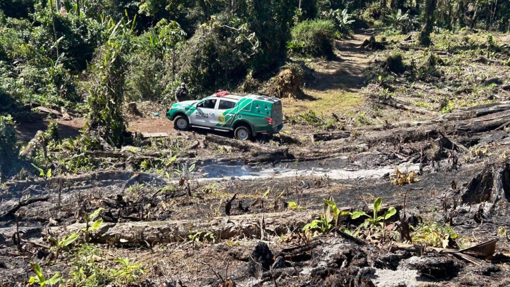 Policia Ambiental – Força Verde