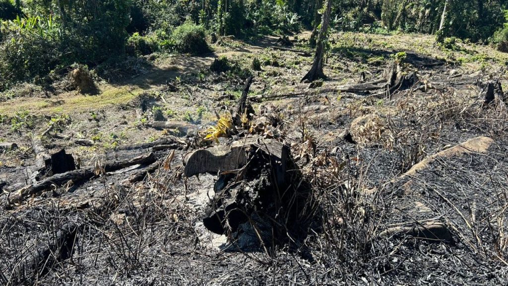 Polícia Ambiental – Força Verde 2