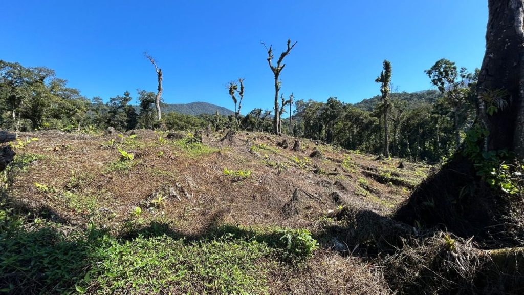 Polícia Ambiental – Força Verde 3