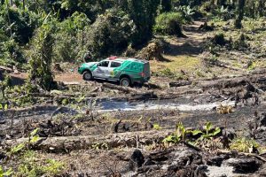 Policia Ambiental – Força Verde