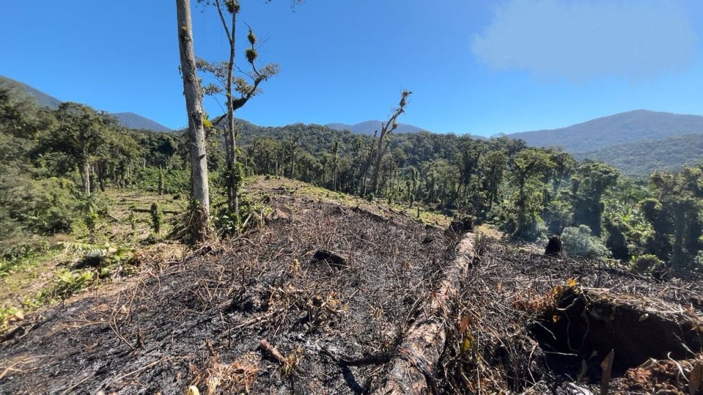 Polícia Ambiental – Força Verde 5