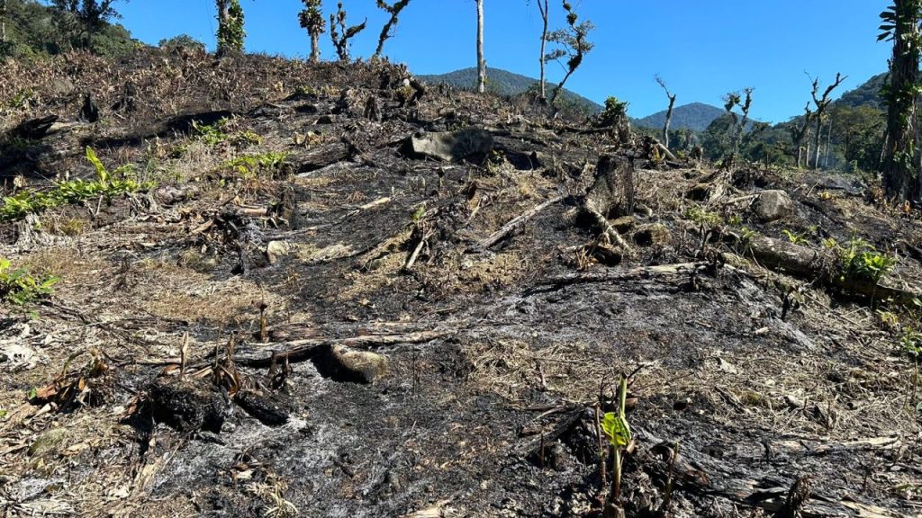 Polícia Ambiental – Força Verde 8