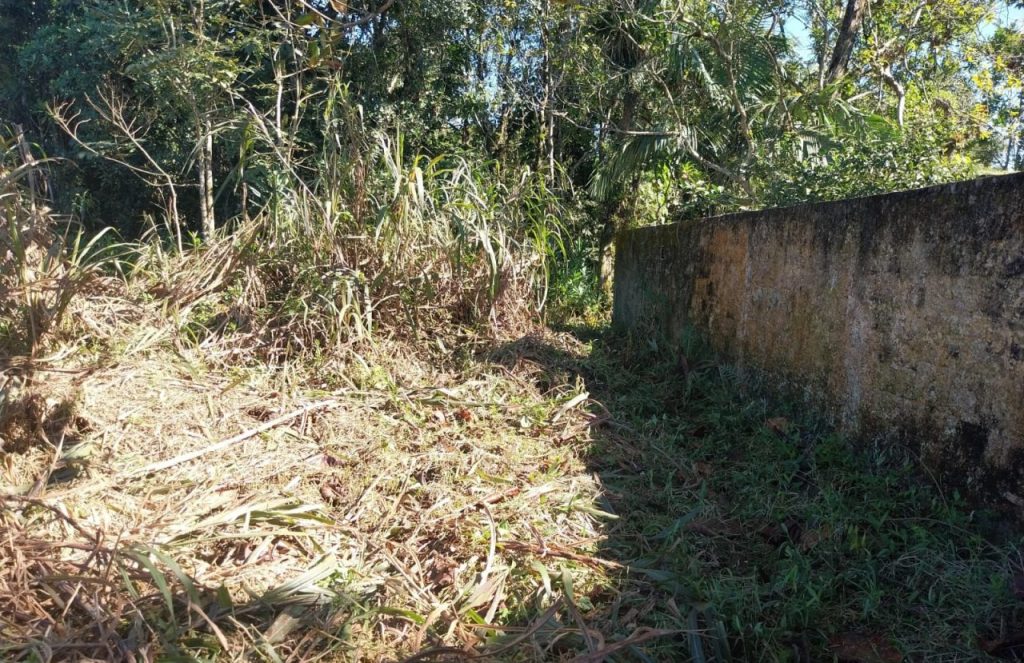 Polícia Ambiental – Força Verde – Mangue Seco 21