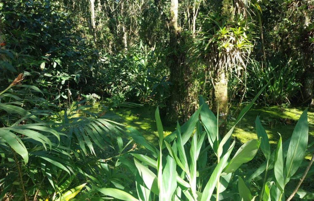 Polícia Ambiental – Força Verde – Mangue Seco 31