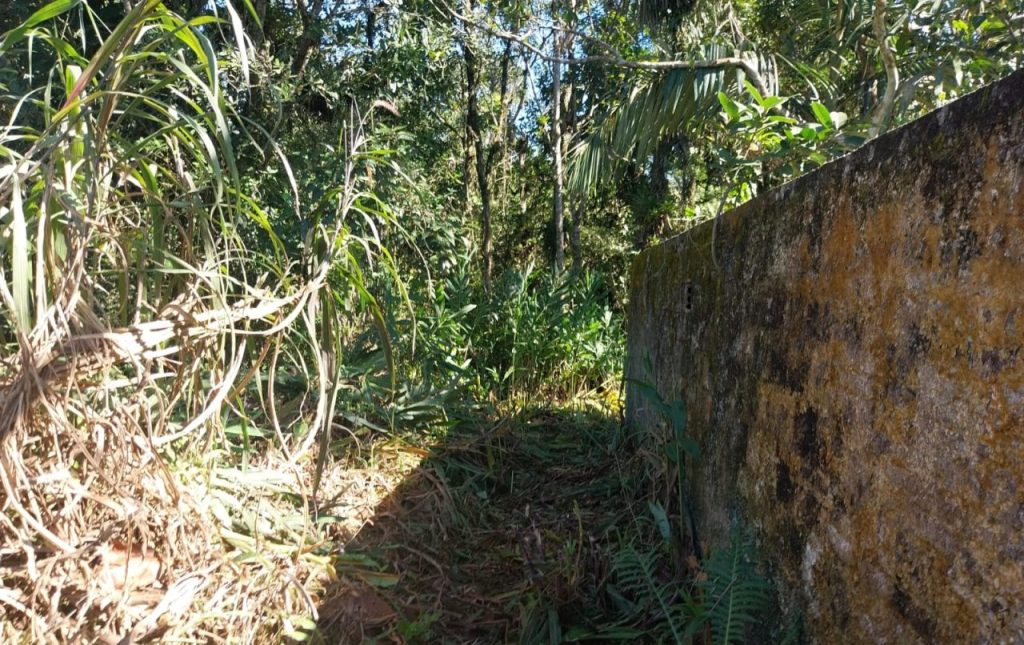 Polícia Ambiental – Força Verde – Mangue Seco 41