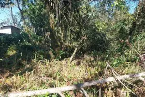 Polícia Ambiental – Força Verde – Mangue Seco 43