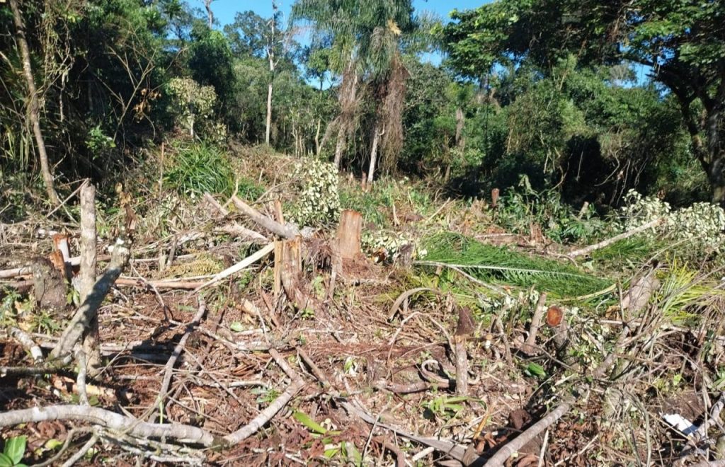 Polícia Ambiental – Força Verde – Rio da Onça