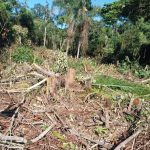 Polícia Ambiental – Força Verde – Rio da Onça