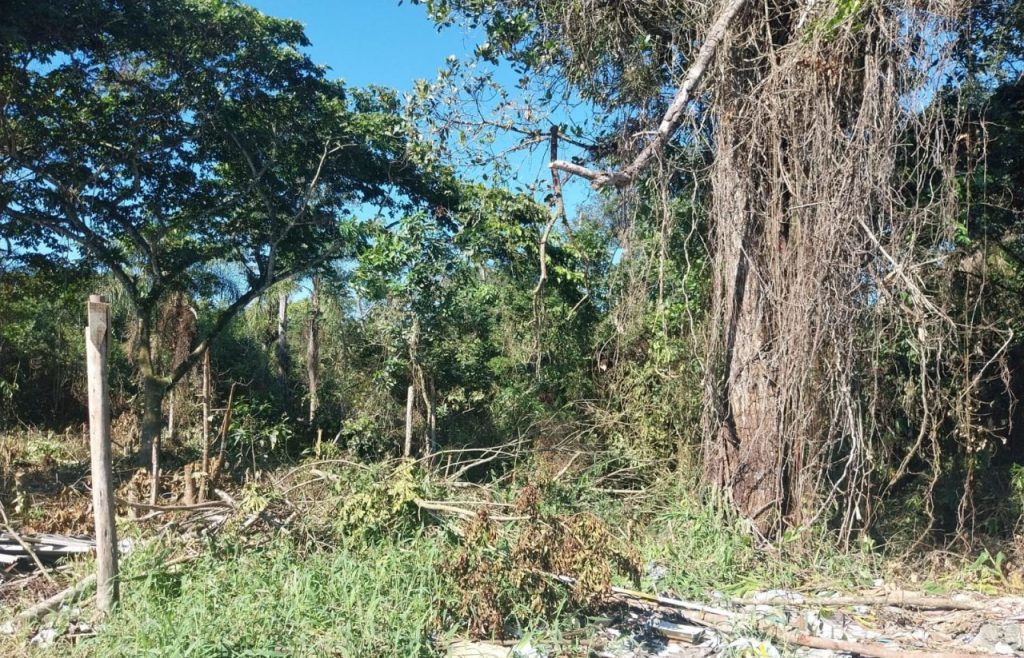 Polícia Ambiental – Força Verde – Rio da Onça 3