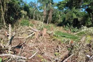 Polícia Ambiental – Força Verde – Rio da Onça