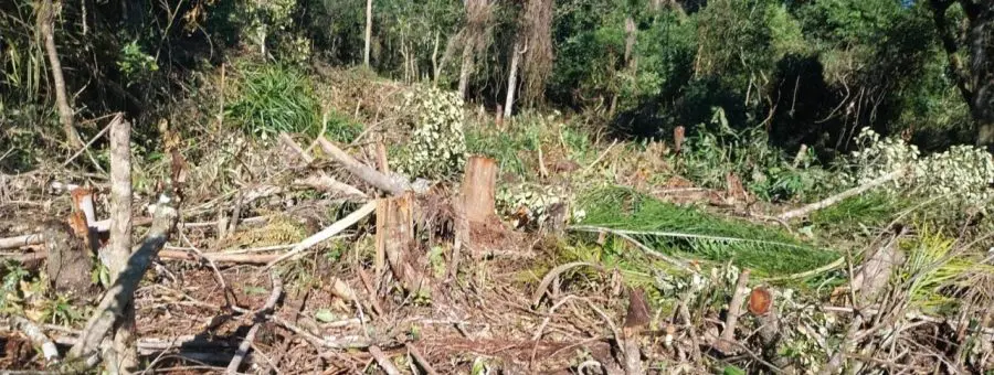 Polícia Ambiental – Força Verde – Rio da Onça