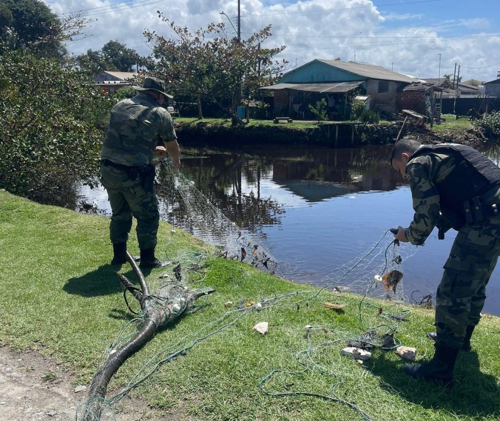 Ação da Polícia Ambiental 02