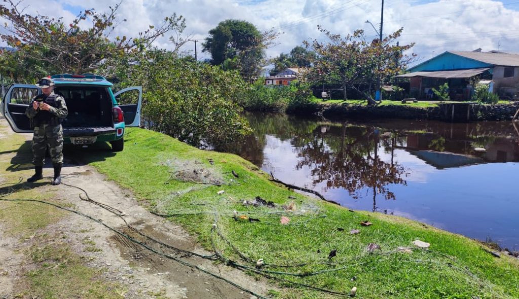 Ação da Polícia Ambiental 05