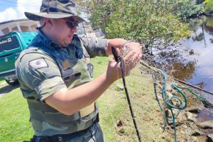 Ação da Polícia Ambiental 08