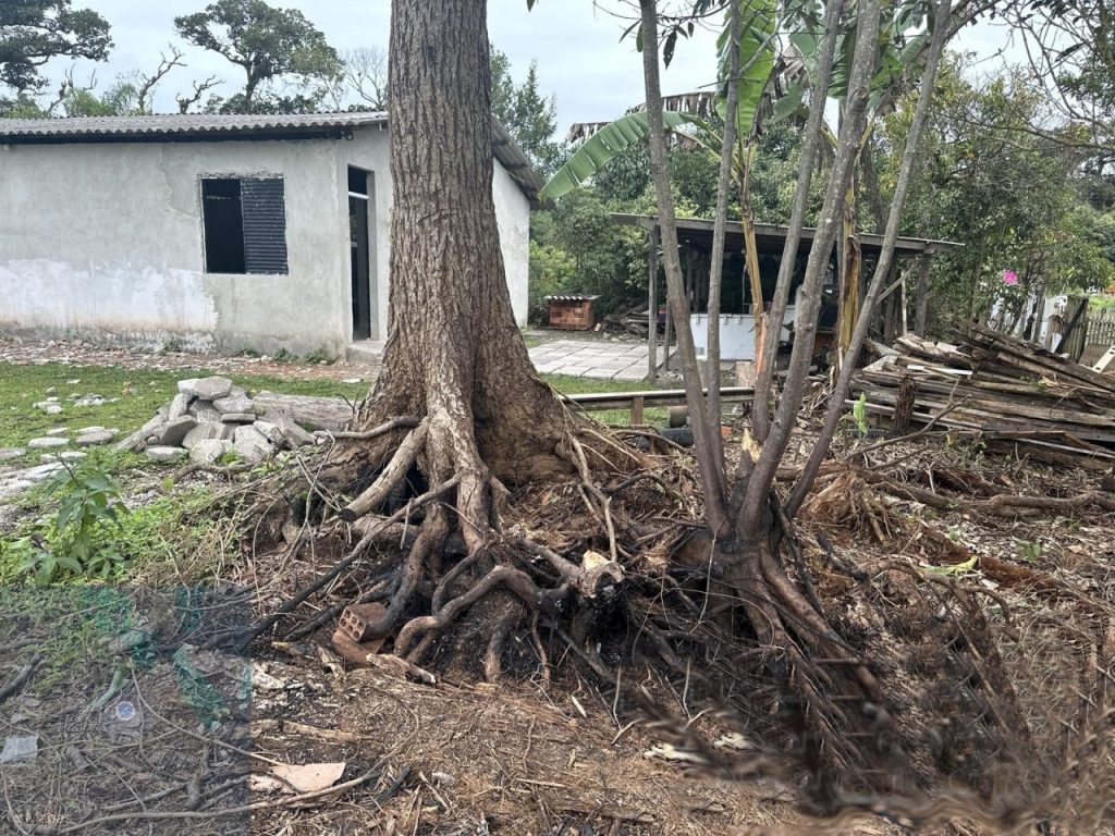 Ação da Polícia Ambiental – Área Embargada 2