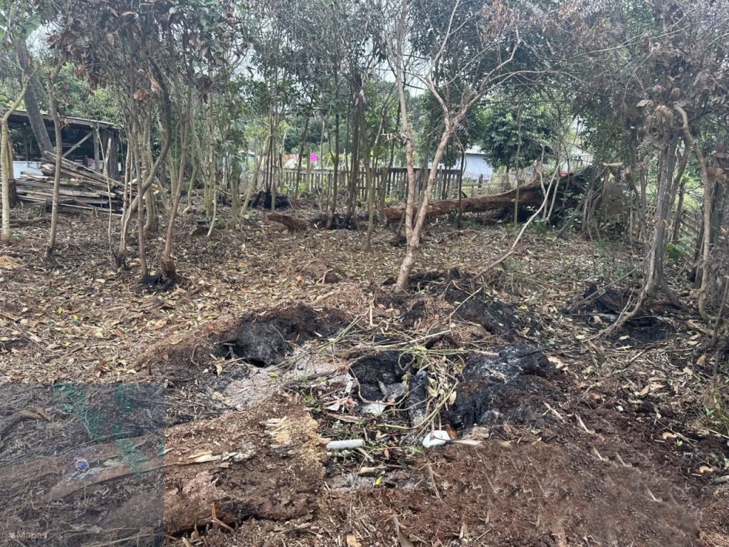 Ação da Polícia Ambiental – Área Embargada 3