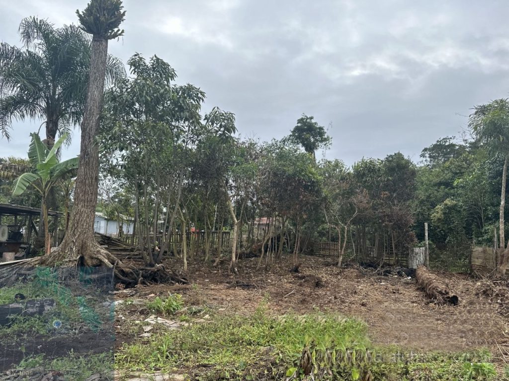 Ação da Polícia Ambiental – Área Embargada 5