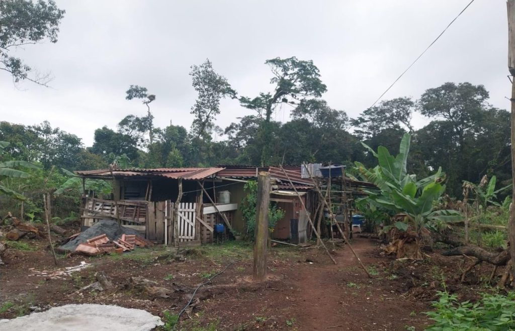 Ação da Polícia Ambiental em Guaratuba 1