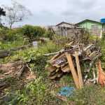 Ação da Polícia Ambiental em Guaratuba – Desmatamento 4