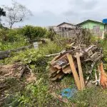 Ação da Polícia Ambiental em Guaratuba – Desmatamento 4