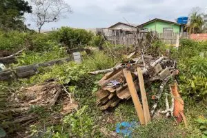 Ação da Polícia Ambiental em Guaratuba – Desmatamento 4