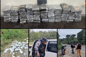 Apreensão de cocaína da PM em Paranaguá 5