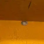 Disparos fachada pizzaria 1