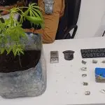 Tráfico de drogas em Paranaguá